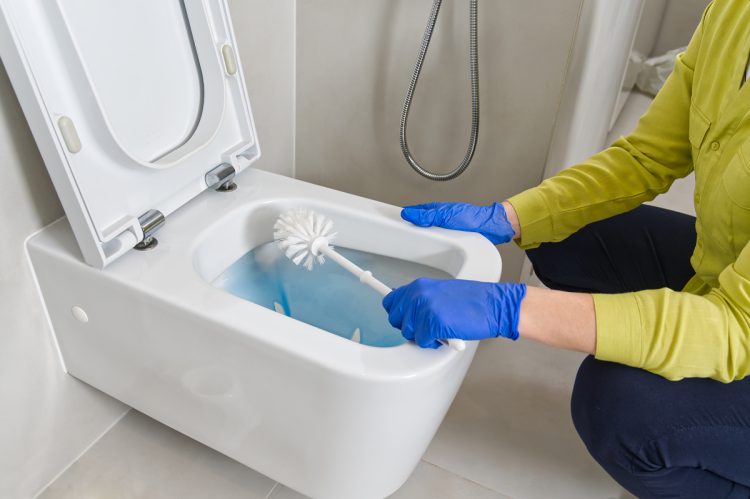 How To Clean A Toilet
