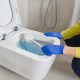 How To Clean A Toilet